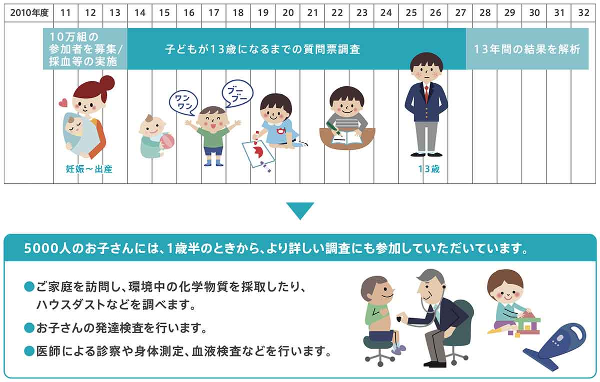 追跡調査のタイムスケジュール