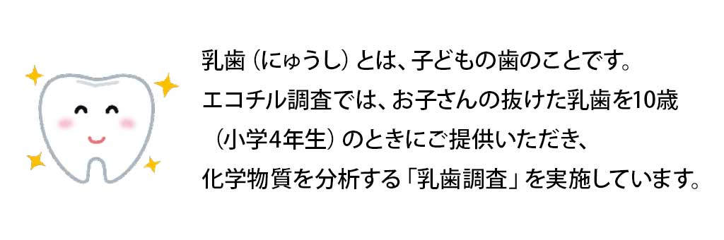 お子さんの抜けた乳歯を10歳（小学4年生）のときにご提供いただき、化学物質を分析する「乳歯調査」を実施しています。