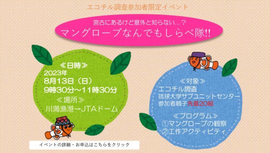 エコチル調査 ～夏休みイベント～ マングローブなんでもしらべ隊